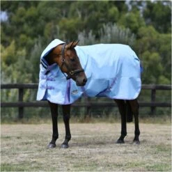 2023 Weatherbeeta Comfitec Classic Combo Neck Lite 10020580 - Light Blue / Purple