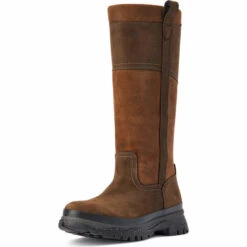 2022 Ariat Mens Moresby Waterproof Tall Boot 10042558 - Java