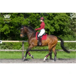 Woof Wear Dressage Saddle Cloth - Shiraz Colour Shiraz -Equestrian Sports Store 1789 Shiraz201.700x700