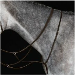 2022 Collegiate Running Martingale IV 800902 - Brown Colour Brown