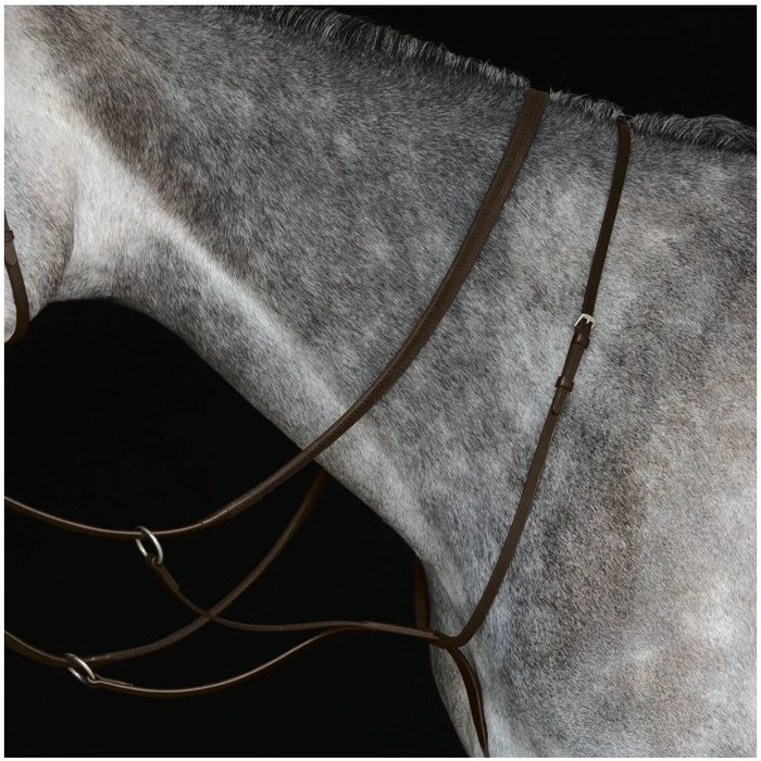 2022 Collegiate Running Martingale IV 800902 - Brown Colour Brown 1 2022 Collegiate Running Martingale IV 800902 - Brown Colour Brown