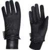 2022 Dublin Synthetic Leather Thinsulate Waterproof Gloves 10070900 - Black