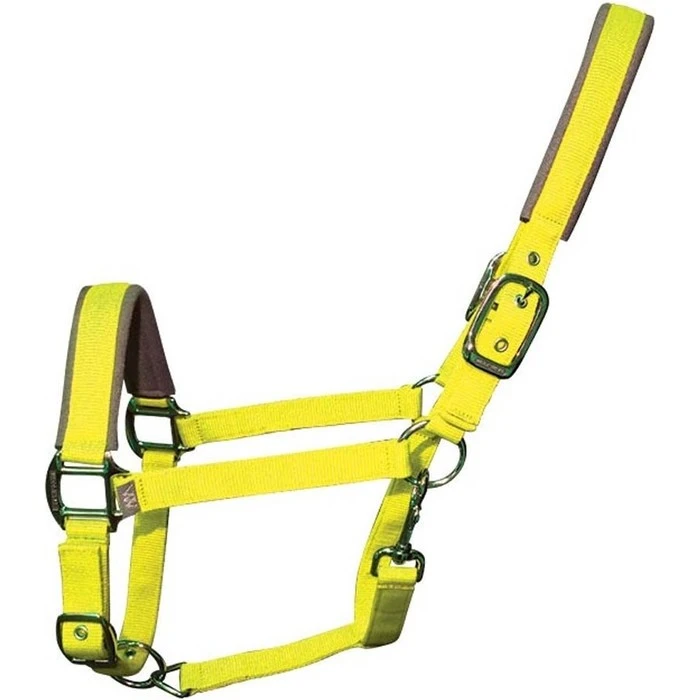 2022 Woof Wear Cob Contour Head Collar WS0022-YELL-COB - Yellow 1 2022 Woof Wear Cob Contour Head Collar WS0022-YELL-COB - Yellow