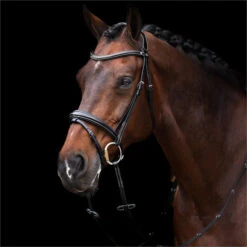 2023 HV Polo Legacy Bridle 1201093500 - Black Colour Black