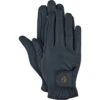 2023 HV Polo Womens Greta Gloves 207093404 - Navy Colour Navy
