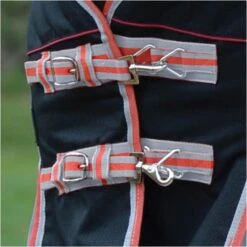 2022 Weatherbeeta Comfitec Premier & Therapy-Tec Medium Detach-A-Neck Turnout Rug - Black / Red -Equestrian Sports Store 2217 202220Weatherbeeta20Comfitec20Premier20With20Therapy Tec20Medium20Detach A Neck20Rug20100161401020 20Black2020Silver2020Red3.700x700