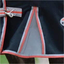 2022 Weatherbeeta Comfitec Premier & Therapy-Tec Medium Detach-A-Neck Turnout Rug - Black / Red -Equestrian Sports Store 2217 202220Weatherbeeta20Comfitec20Premier20With20Therapy Tec20Medium20Detach A Neck20Rug20100161401020 20Black2020Silver2020Red4.700x700