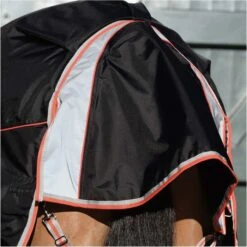 2022 Weatherbeeta Comfitec Premier & Therapy-Tec Medium Detach-A-Neck Turnout Rug - Black / Red -Equestrian Sports Store 2217 202220Weatherbeeta20Comfitec20Premier20With20Therapy Tec20Medium20Detach A Neck20Rug20100161401020 20Black2020Silver2020Red5.700x700