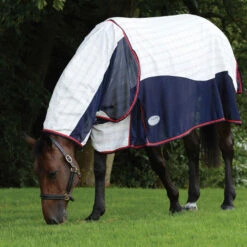 Weatherbeeta Breeze With Surcingle III Combo Neck Rug - White / Navy 7 Weatherbeeta Breeze With Surcingle III Combo Neck Rug - White / Navy -Equestrian Sports Store 30f1c45a34a32ac999f914e280bb551a 9.700x700