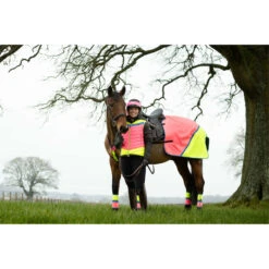 2022 Equisafety Charlotte Dujardin Hi Vis Multi Coloured Horse Sheet CD-MCQWS - Pink / Yellow -Equestrian Sports Store 3127 Equisafety Jan22 144201201.700x700