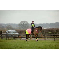 2022 Equisafety Charlotte Dujardin Hi Vis Multi Coloured Horse Sheet CD-MCQWS - Pink / Yellow -Equestrian Sports Store 3127 Equisafety Jan22 152201.700x700
