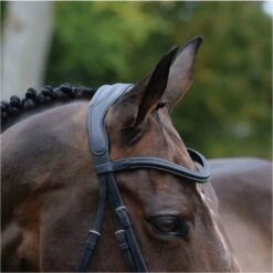 2021 Collegiate Comfitec Vogue Anatomical Bridle 100637600 - Black Colour Black -Equestrian Sports Store 3436 202120Collegiate20Comfitec20Vogue20Anatomical20Bridle2010063760020 20Black20detail.700x700