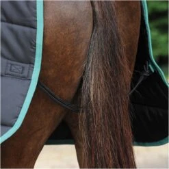 2022 Weatherbeeta Green-Tec Medium-Lite Standard Neck Rug - Black / Green 13 2022 Weatherbeeta Green-Tec Medium-Lite Standard Neck Rug - Black / Green -Equestrian Sports Store 3971 3971 7.700x700