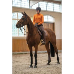 Equestrian Sports Store -Equestrian Sports Store 4294 13071 420013312 250013171 210013227 2100 2.700x700