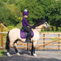 2022 Woof Wear Vision GP Saddle Pad WS0009 - Damsen Purple Colour Damsen Purple -Equestrian Sports Store 4638 Damson20Vision20320 20low20res.700x700