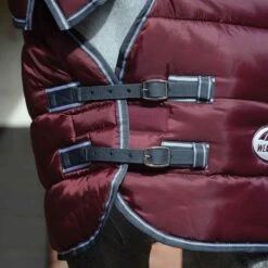 2022 Weatherbeeta Comfitec 210D Channel Quilt Combo Neck Medium Rug 10004380 - Grape Purple / Blue 4 2022 Weatherbeeta Comfitec 210D Channel Quilt Combo Neck Medium Rug 10004380 - Grape Purple / Blue -Equestrian Sports Store 4908 202220Weatherbeeta20Comfitec20210D20Channel20Quilt20Combo20Neck20Medium20Rug201000438020 20Grape20Purple20Blue3.700x700