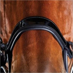 2022 Collegiate Comfitec Patent Bridle 8111 - Black Colour Black 5 2022 Collegiate Comfitec Patent Bridle 8111 - Black Colour Black -Equestrian Sports Store 5218 202220Collegiate20Comfitec20Patent20Bridle20811120 20Black3.700x700