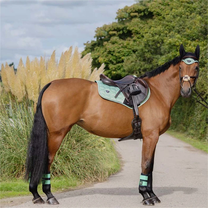 2022 Woof Wear Vision Dressage Pad WS0006 - Pistachio Colour Pistachio 2 2022 Woof Wear Vision Dressage Pad WS0006 - Pistachio Colour Pistachio - Image 2