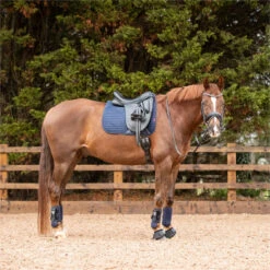 2022 Equilibrium Tri-Zone All Sports Boots EQB16 - Navy -Equestrian Sports Store 5586 202220Equilibrium20Tri Zone20All20Sports20Boots20EQB1620 20Navy20Lifestyle203.700x700