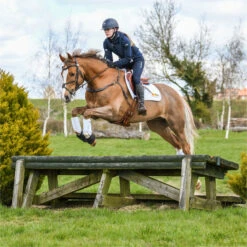 2022 Equilibrium Tri-Zone Impact Sports Boots Front EQB10 - White 11 2022 Equilibrium Tri-Zone Impact Sports Boots Front EQB10 - White -Equestrian Sports Store 5587 202220Equilibrium20Tri Zone20Impact20Sports20Boots20EQB1020 20White20Main20Lifestyle203.700x700 1