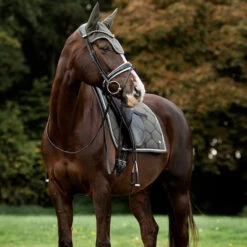 2022 PS Of Sweden Signature Dressage Cotton Saddle Pad 1110-022 - Forest Green -Equestrian Sports Store 5637 202220PS20Of20Sweden20Signature20Dressage20Cotton20Saddle20Pad201110 02220 2020Forest20Green20Lifestyle203.700x700