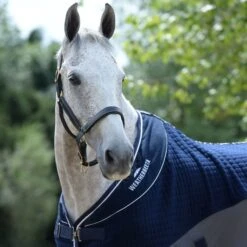 2023 Weatherbeeta Thermo-Air Cooler Sheet Standard Neck 10189250 - Navy / Grey 5 2023 Weatherbeeta Thermo-Air Cooler Sheet Standard Neck 10189250 - Navy / Grey -Equestrian Sports Store 6000 202320Weatherbeeta20Thermo Air20Cooler20Sheet20Standard20Neck201018925020 20Navy2020Grey20worn202.700x700