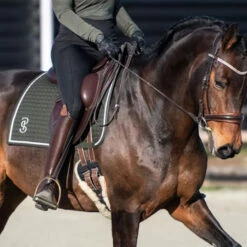 2023 PS Of Sweden Elite Dressage Saddle Pad 1110038665 - Dark Green -Equestrian Sports Store 6074 202320PS20of20Sweden20Elite20Dressage20Saddle20Pad20111003866520 20Dark20Green20Lifestyle.700x700