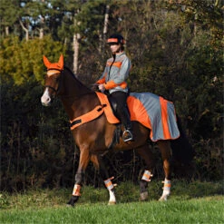 2023 Equisafety Mercury Reflective Exercise Rug MRUG-RO - Orange Colour Orange 5 2023 Equisafety Mercury Reflective Exercise Rug MRUG-RO - Orange Colour Orange -Equestrian Sports Store 6121 202320Equisafety20Mercury20Reflective20Exercise20Rug20MRUG RO20 20Orange 20Lifestyle.700x700