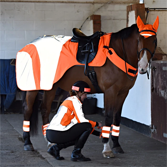 2023 Equisafety Mercury Reflective Exercise Rug MRUG-RO - Orange Colour Orange 2 2023 Equisafety Mercury Reflective Exercise Rug MRUG-RO - Orange Colour Orange - Image 2