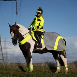 2023 Equisafety Mercury Reflective Exercise Rug MRUG-RO - Yellow Colour Yellow -Equestrian Sports Store 6122 202320Equisafety20Mercury20Reflective20Exercise20Rug20MRUG RO20 20Yellow 20Lifestyle202.700x700