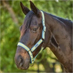 2023 Weatherbeeta Comfitec Essential Standard Neck Lite Turnout With FREE Headcollar - Seahorse Print -Equestrian Sports Store 6125 202320Weatherbeeta20Comfitec20Essential20Standard20Neck20Lite20Coordinate20Headcollar20100042031002094020 20Seahorse20Print20Light20Blue20Headcollar20Close20Up201.700x700