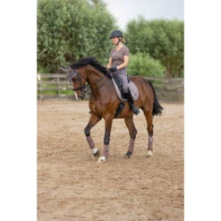 2023 HV Polo Jenna Dressage Saddle Pad 802093502 - Espresso Colour Espresso -Equestrian Sports Store 6152 203A6760.700x700