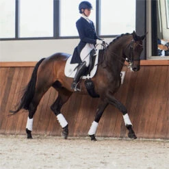 2023 Eskadron Highgloss Peacock Saddle Cloth 214731 544 - White Colour White -Equestrian Sports Store 6273 202320Eskadron20Highgloss20Peacock20Saddle20Cloth202147312054420 20White20Lifestyle203.700x700