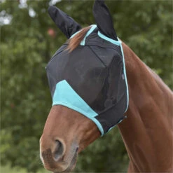2023 Weatherbeeta Summer Sheet IV Lite Rug & Fly Mask SUPER DEAL WTRFM1 - Seahorse Print / Black / Turquoise 6 2023 Weatherbeeta Summer Sheet IV Lite Rug & Fly Mask SUPER DEAL WTRFM1 - Seahorse Print / Black / Turquoise -Equestrian Sports Store 6373 202320Weatherbeeta20Summer20Sheet20Lite20Rug2020Fly20Mask20MEGA20DEAL20Bundle20WTRFM120 20Seahorse20Print20Black2020Turquoise2011.700x700