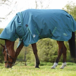 2023 Weatherbeeta Green-Tec 1200D Detach-A-Neck Lite Plus Turnout Rug - Dragonfly Blue / Bottle Green 6 2023 Weatherbeeta Green-Tec 1200D Detach-A-Neck Lite Plus Turnout Rug - Dragonfly Blue / Bottle Green -Equestrian Sports Store 6379 202320Weatherbeeta20Green Tec201200D20Detach A Neck20Lite20Plus20Turnout20Rug20 20Dragonfly20Blue203.700x700
