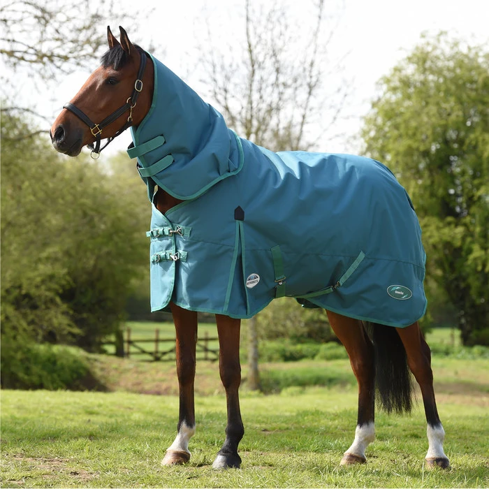 2023 Weatherbeeta Green-Tec 1200D Detach-A-Neck Lite Plus Turnout Rug - Dragonfly Blue / Bottle Green 2 2023 Weatherbeeta Green-Tec 1200D Detach-A-Neck Lite Plus Turnout Rug - Dragonfly Blue / Bottle Green - Image 2