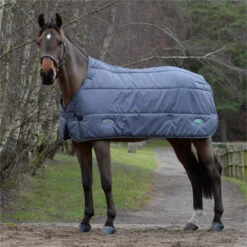 2023 Weatherbeeta Green-Tec Standard Neck Medium / Lite Stable Liner 1021797 - Grey -Equestrian Sports Store 6381 202320Weatherbeeta20Green Tec20Standard20Neck20Medium2020Lite20Stable20Liner20102179720 20Grey20204.700x700