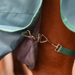 2023 Weatherbeeta Green-Tec Standard Neck Medium / Lite Stable Liner 1021797 - Grey -Equestrian Sports Store 6381 202320Weatherbeeta20Green Tec20Standard20Neck20Medium2020Lite20Stable20Liner20102179720 20Grey20206.700x700