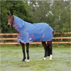 2023 Weatherbeeta Comfitec Plus Dynamic II Detach-A-Neck Medium Turnout Rug 10069170 - Royal Blue / Bright Orange Colour Royal Blue/Bright Orange -Equestrian Sports Store 6384 202320Weatherbeeta20Comfitec20Plus20Dynamic20II20Detach A Neck20Medium20Turnout20Rug201006917020 20Royal20Blue2020Bright20Orange202.700x700