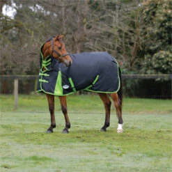 2023 Weatherbeeta Comfitec Classic Combo Neck Medium Turnout Rug 1000423 - Black / Lime Green Colour Black/Lime Green -Equestrian Sports Store 6387 202320Weatherbeeta20Comfitec20Classic20Combo20Neck20Medium20Turnout20Rug20100042320 20Black20Lime20Green20202.700x700