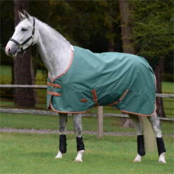 2023 Weatherbeeta Comfitec Tyro Combo Neck Medium Turnout Rug 1021798 - Green / Burnt Orange / White 5 2023 Weatherbeeta Comfitec Tyro Combo Neck Medium Turnout Rug 1021798 - Green / Burnt Orange / White -Equestrian Sports Store 6388 202320Weatherbeeta20Comfitec20Tyro20Combo20Neck20Medium20Turnout20Rug20102179820 20Green2020Burnt20Orange2020White202.700x700