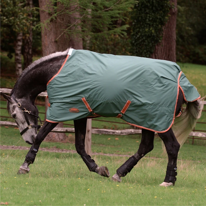 2023 Weatherbeeta Comfitec Tyro Combo Neck Medium Turnout Rug 1021798 - Green / Burnt Orange / White 2 2023 Weatherbeeta Comfitec Tyro Combo Neck Medium Turnout Rug 1021798 - Green / Burnt Orange / White - Image 2