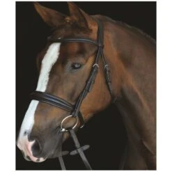2022 Collegiate Mono Crown Padded Raised Cavesson Bridle 80088 - Brown Colour Brown