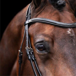 2023 HV Polo Legacy Bridle 1201093500 - Black Colour Black 6 2023 HV Polo Legacy Bridle 1201093500 - Black Colour Black -Equestrian Sports Store 6920 202320HV20Polo20Legacy20Bridle20120109350020 20Black203.700x700