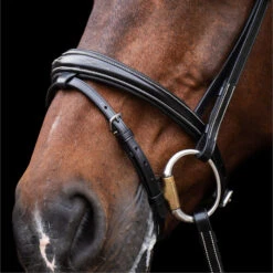 2023 HV Polo Legacy Bridle 1201093500 - Black Colour Black 7 2023 HV Polo Legacy Bridle 1201093500 - Black Colour Black -Equestrian Sports Store 6920 202320HV20Polo20Legacy20Bridle20120109350020 20Black204.700x700
