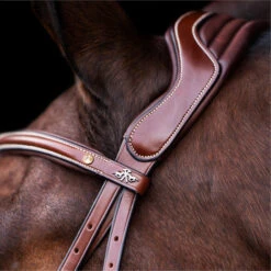 2023 HV Polo Legacy Bridle 1201093500 - Brown Colour Brown -Equestrian Sports Store 6921 202320HV20Polo20Legacy20Bridle20120109350020 20Brown203.700x700