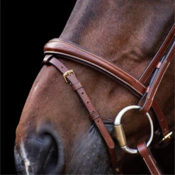 2023 HV Polo Legacy Bridle 1201093500 - Brown Colour Brown -Equestrian Sports Store 6921 202320HV20Polo20Legacy20Bridle20120109350020 20Brown204.700x700