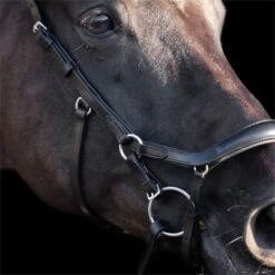 2023 HV Polo Legacy Anatomical Deluxe Bridle 1201093502 - Black 6 2023 HV Polo Legacy Anatomical Deluxe Bridle 1201093502 - Black -Equestrian Sports Store 6922 83441d82d3952b782d1390d14729dec9282bc090 1201093502 9000 msideL.700x700