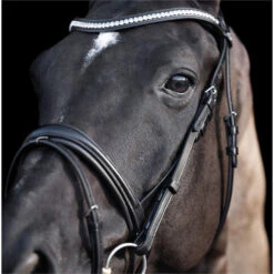 2023 HV Polo Legacy Deluxe Bridle 1201093501 - Black Colour Black -Equestrian Sports Store 6923 202320HV20Polo20Legacy20Deluxe20Bridle20120109350120 20Black204.700x700