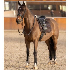 2023 HV Polo Franka Tendon And Fetlock Boots Set 2802093452 - Mocca -Equestrian Sports Store 6935 202320HV20Polo20Franka20Tendon20And20Fetlock20Boots20Set20280209345220 20Mocca206.700x700